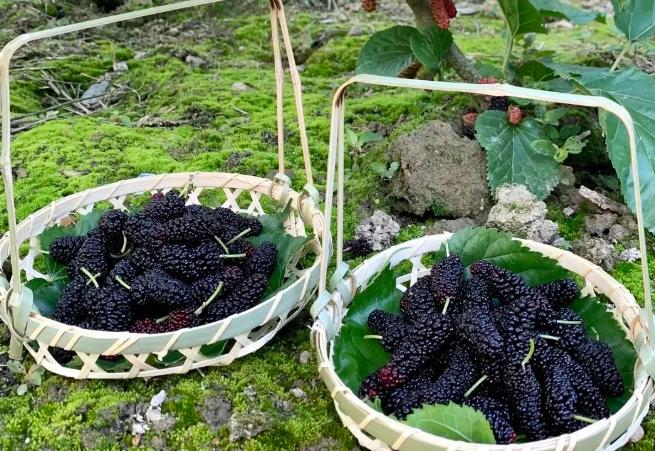 ����ժ˶����ɣ�أ������ӡ�������ˮ����������һ���ٰ���ժ��ͼ