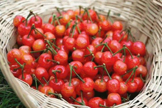 ����ժ˶�������ˣ����ˣ����ٰ���һ��������֮Լ��