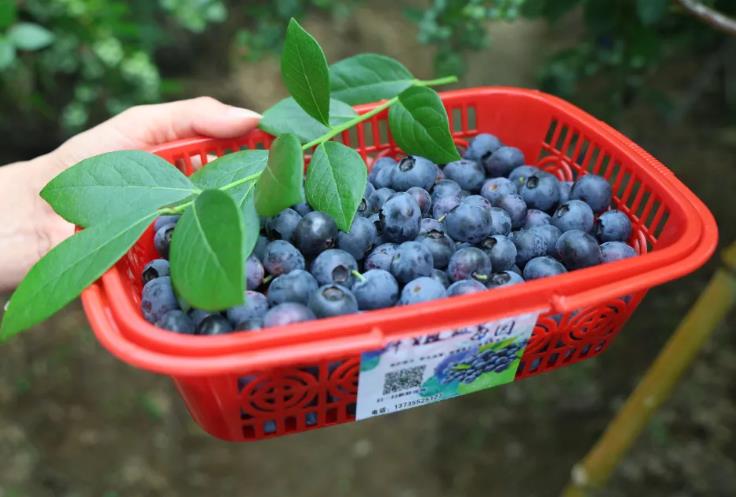 ����ժ˶������ȳ��꣡���պ���ݡ�ˮ���桱�ٰ���ͼ