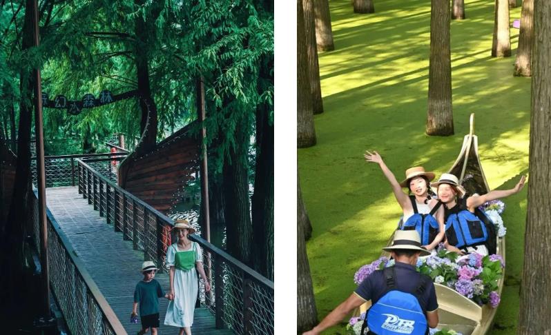 ���ٰ����Ρ�ֻ�����̣��������ٰ��桰��Ұ���١�......