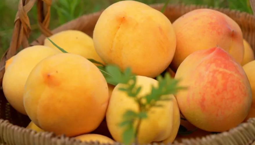 ��˶����ժ������һ���ġ������ҡ��������ջ�