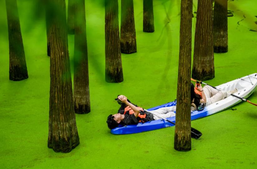 ���ٰ����Ρ������û������������ٰ�������Ρ�Ȧ�ۡ���������ˣ�