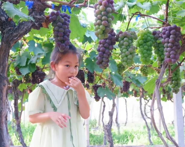 ��˶����ժ����Խǧ�꣡Ǯ������ϲ���ģ���ӵ�С�ͬ���