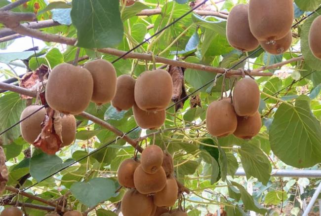 ��˶����ժ�����̡����¡����Ŀ���������